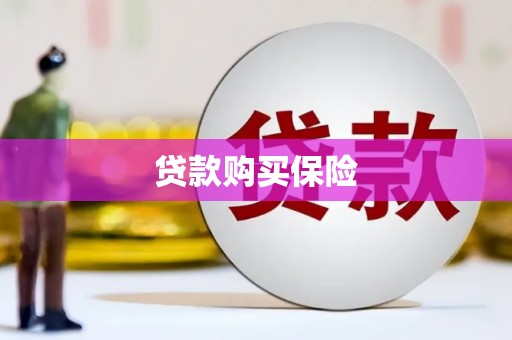 土库贷款购买保险