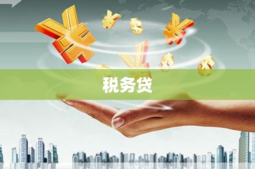 土库税务贷