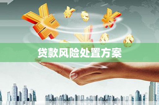 土库贷款风险处置方案