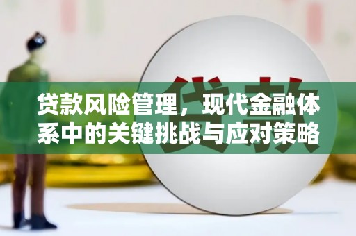 土库贷款风险管理，现代金融体系中的关键挑战与应对策略