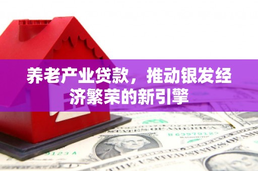 土库养老产业贷款，推动银发经济繁荣的新引擎