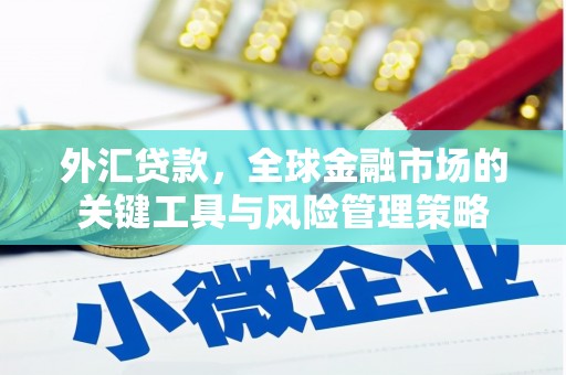 土库外汇贷款，全球金融市场的关键工具与风险管理策略