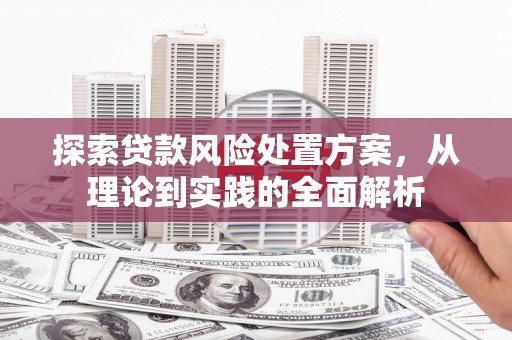 土库探索贷款风险处置方案，从理论到实践的全面解析
