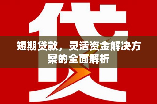 土库短期贷款，灵活资金解决方案的全面解析