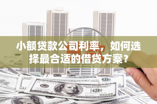 土库小额贷款公司利率，如何选择最合适的借贷方案？