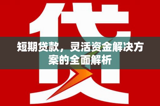 土库短期贷款，灵活资金解决方案的全面解析