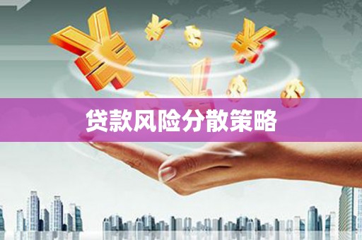 土库贷款风险分散策略