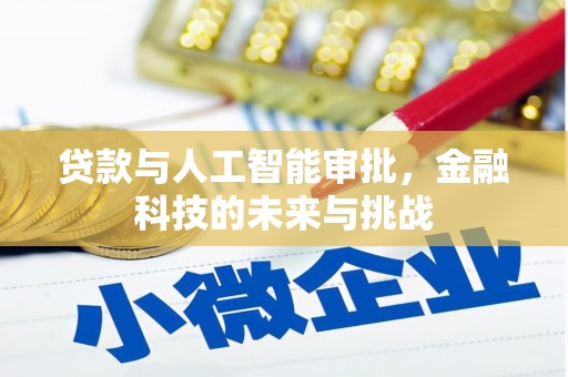 土库贷款与人工智能审批，金融科技的未来与挑战