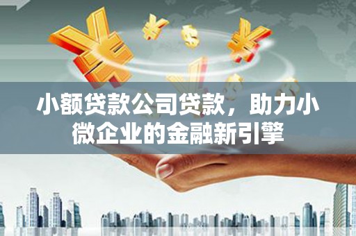 土库小额贷款公司贷款，助力小微企业的金融新引擎