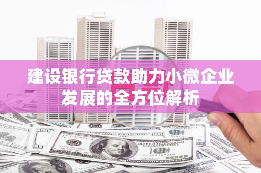土库建设银行贷款助力小微企业发展的全方位解析