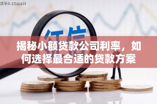 土库揭秘小额贷款公司利率，如何选择最合适的贷款方案