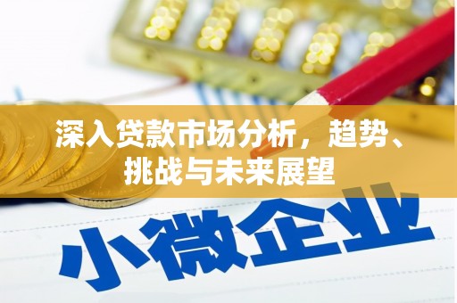 土库深入贷款市场分析，趋势、挑战与未来展望