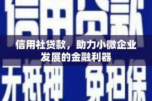 土库信用社贷款，助力小微企业发展的金融利器
