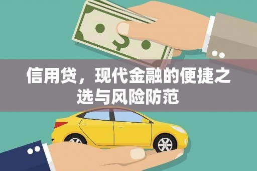 土库信用贷，现代金融的便捷之选与风险防范