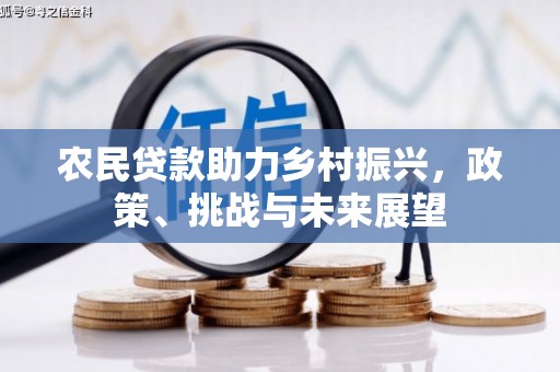 土库农民贷款助力乡村振兴，政策、挑战与未来展望