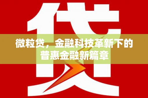 土库微粒贷，金融科技革新下的普惠金融新篇章