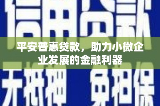 土库平安普惠贷款，助力小微企业发展的金融利器