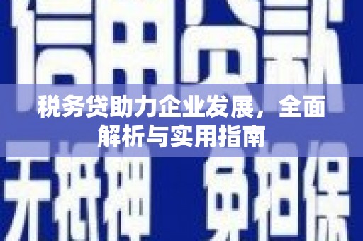 土库税务贷助力企业发展，全面解析与实用指南