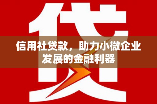 土库信用社贷款，助力小微企业发展的金融利器