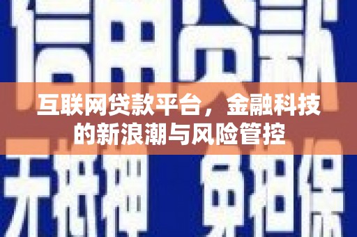 土库互联网贷款平台，金融科技的新浪潮与风险管控