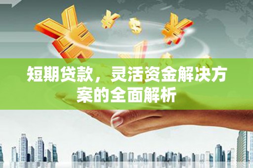 土库短期贷款，灵活资金解决方案的全面解析