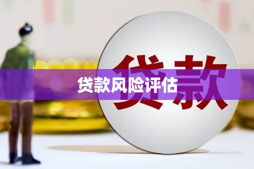 土库贷款风险评估