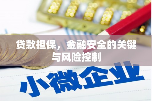 土库贷款担保，金融安全的关键与风险控制