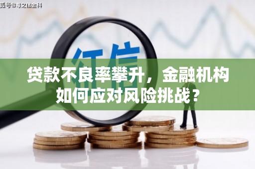 土库贷款不良率攀升，金融机构如何应对风险挑战？