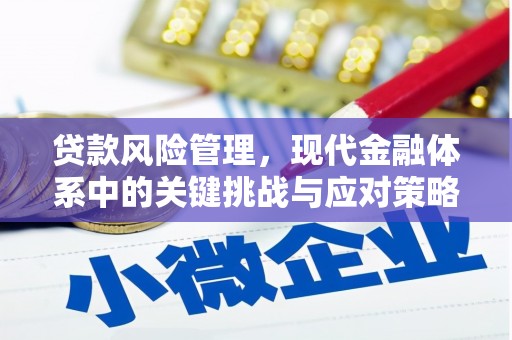 土库贷款风险管理，现代金融体系中的关键挑战与应对策略