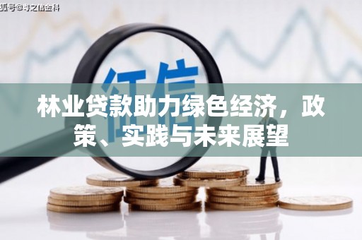 土库林业贷款助力绿色经济，政策、实践与未来展望