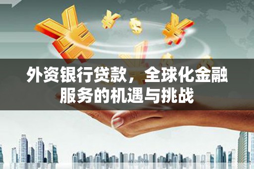土库外资银行贷款，全球化金融服务的机遇与挑战
