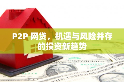 土库P2P 网贷，机遇与风险并存的投资新趋势