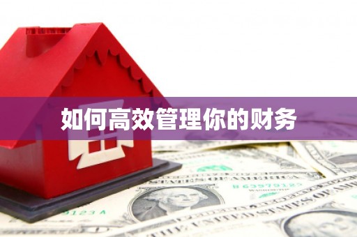 土库如何高效管理你的财务