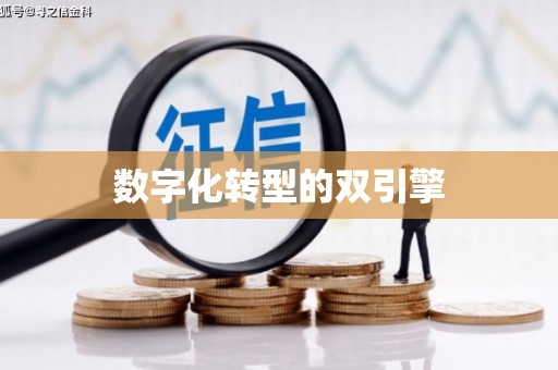 土库数字化转型的双引擎