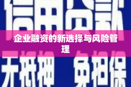 土库企业融资的新选择与风险管理