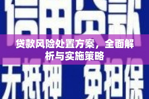 土库贷款风险处置方案，全面解析与实施策略