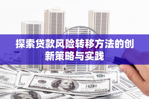 土库探索贷款风险转移方法的创新策略与实践