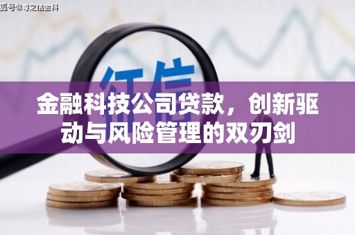 土库金融科技公司贷款，创新驱动与风险管理的双刃剑